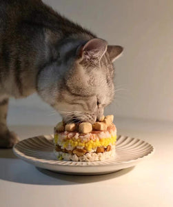 Can Cats Taste Sweetness? | PAWZ Road