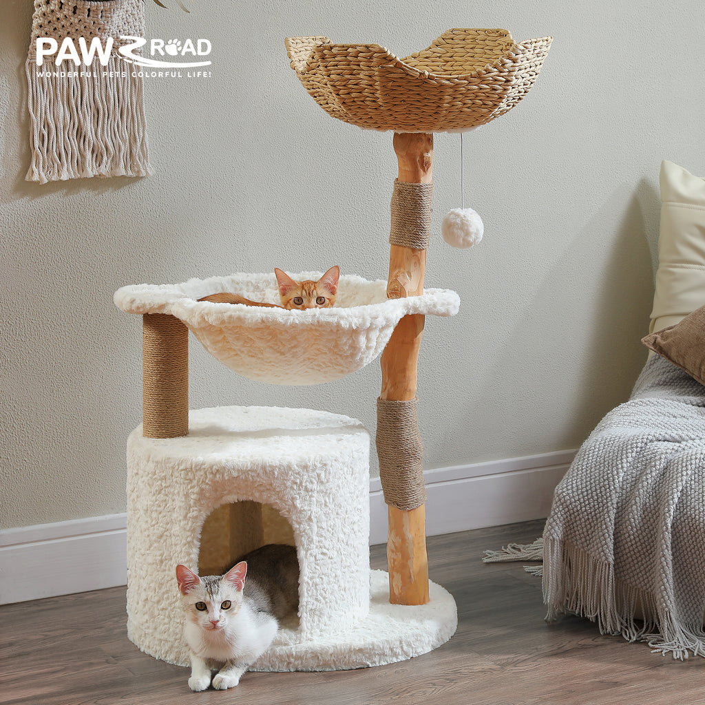 PAWZ Road 38