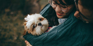 3 Ways to Care Mom Puppies Well in The Pawternity Leave | PAWZ Road