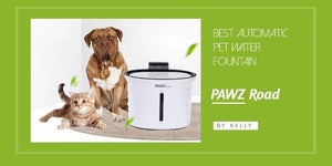 Best Automatic Dog Cat Water Fountain on PAWZ Road | PAWZ Road