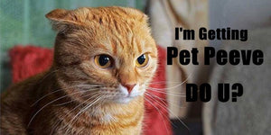 Everybody’s Pet Peeves, So Are They | PAWZ Road