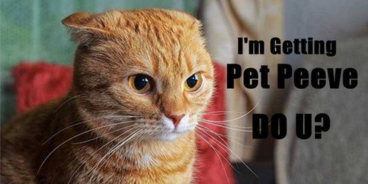 Everybody’s Pet Peeves, So Are They | PAWZ Road