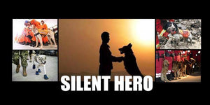 Salute To Super Doggy Heroes  In WenChuan Earthquake | PAWZ Road
