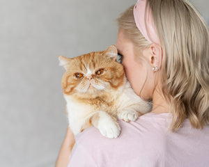 What Will Cats Bring To You During Your Pregnancy? | PAWZ Road