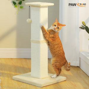 2 PAWZ Road official store Pet supplies collection