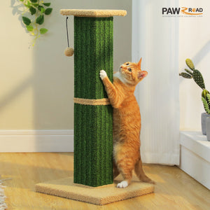 2 PAWZ Road official store Pet supplies collection