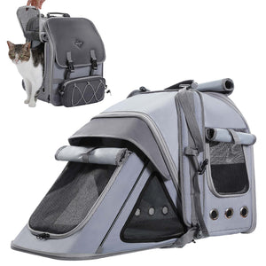 Árvore de gato de estrada PAWZ