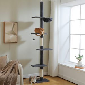 2 PAWZ Road official store Pet supplies collection