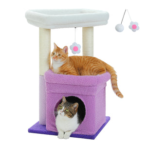 Árvore de gato de estrada PAWZ