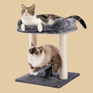 PAWZ Road Pequeno Poste para arranhar gatos com árvore de gato grande e cama grande de pelúcia