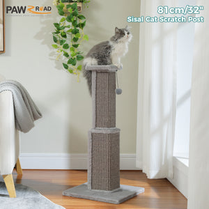 PAWZ Road 32