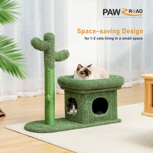 PAWZ Road Cactus 3 em 1 torre arranhadora para gatos embrulhada em sisal