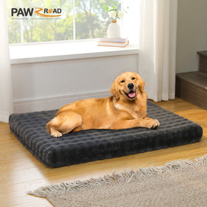 3 PAWZ Road official store Pet supplies collection