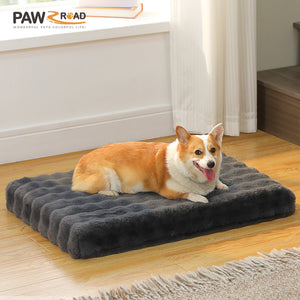 3 PAWZ Road official store Pet supplies collection