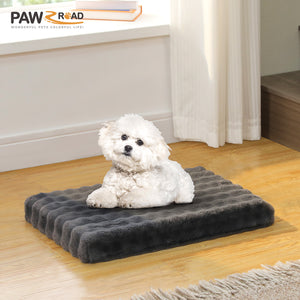 3 PAWZ Road official store Pet supplies collection