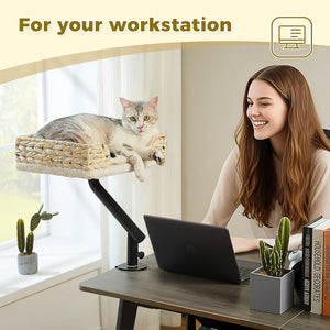 PAWZ Road Cat Bed for Desk - 14 Inch Space Saving Cat Hammock with Interactive Plush Ball Supports Up to 50lbs - Fits Tables Under 5cm Thick White