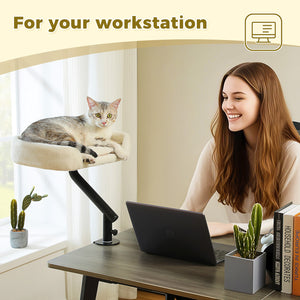 PAWZ Road Cat Bed for Desk - 14 Inch Space Saving Cat Hammock with Interactive Plush Ball Supports Up to 50lbs - Fits Tables Under 5cm Thick White