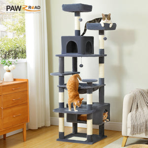 Árvore de gato de estrada PAWZ