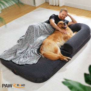 3 PAWZ Road official store Pet supplies collection