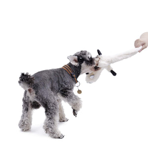 PAWZ Road Dog Chew Toy No Stuffing Squeaky Dog Toy 3 PCS Durable Dog Plush Toy