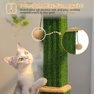 PAWZ Road 32