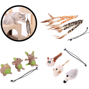 PEQULTI official store Pet supplies collection