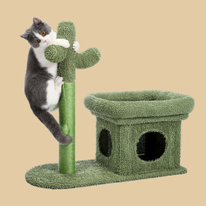 PAWZ Road Cactus 3 em 1 torre arranhadora para gatos embrulhada em sisal
