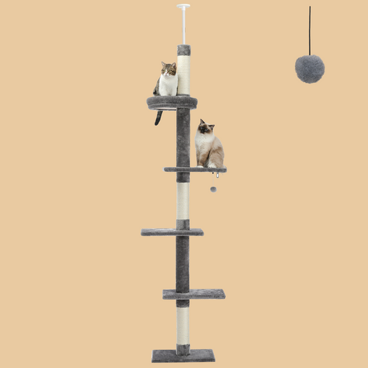 PAWZ Road Cat Tower 5-Tier Floor to Ceiling Cat Tree Height(95-107 Inches) Adjustable, Tall Cat Climbing Tree Featuring with Scratching Post, Cozy Bed,Interactive Ball Toy for Indoor Cats/Kitten Grey