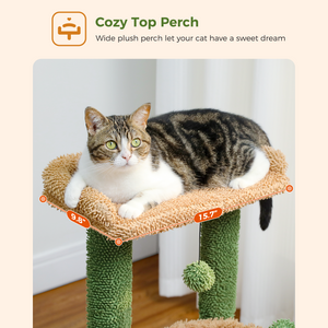 Large perch cat tree hot sale