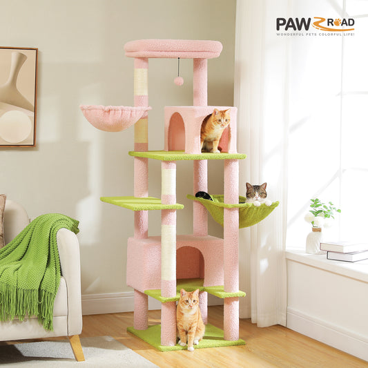 PAWZ Road 66