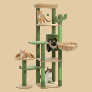 Huge cat playground hotsell