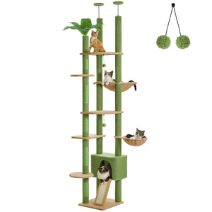 1 PAWZ Road official store Pet supplies collection