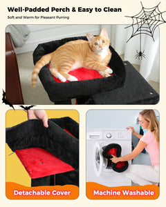 PAWZ Road 30 polegadas preta gótica para gatos internos