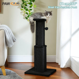 PAWZ Road 32