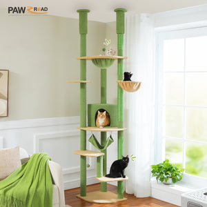 3 PAWZ Road official store Pet supplies collection