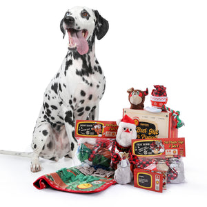 Caixas de presente especiais de brinquedos para cães divertidos de Natal da PAWZ Road