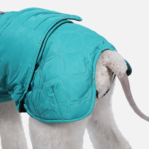 PAWZ Road Reversible Waterproof Windproof Green Dog Jacket