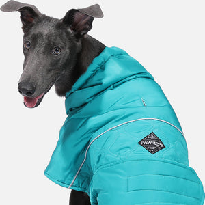 PAWZ Road Reversible Waterproof Windproof Green Dog Jacket