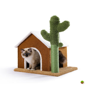Casa da série PAWZ Road Oasis com arranhador de gato Cactus