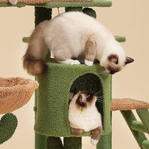 PAWZ Road Oasis Series Cactus Modular 3-in-1 Big Cat Tree