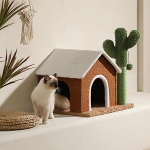 PAWZ Road Oasis Series House with Cactus Cat Scratcher