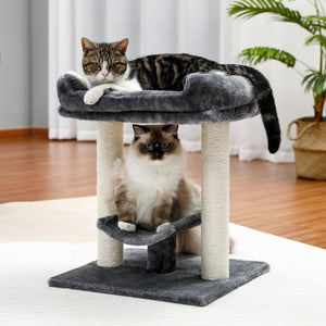 PAWZ Road Cat Scratcher Perch Bed - AMT0143GY