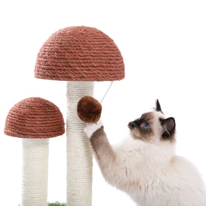 PAWZ Road Mushroom Shaped Cat Scratcher Climbing Tree - AMT0125BN