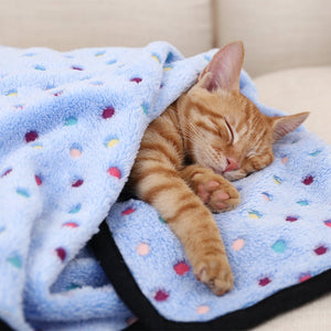 PAWZ Road Soft Pet Fleece Blanket - RY0057-S-L