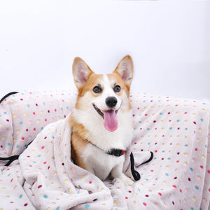 PAWZ Road Soft Pet Fleece Blanket - RY0057-L-M